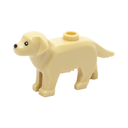 69962pb01-005犬(ラブラドール・レトリバー)タン