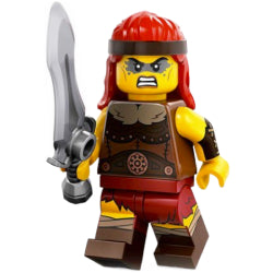 col25-11バーバリアン(#71045-11)