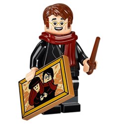 colhp2-8ジェームズ・ポッター(#71028-8)